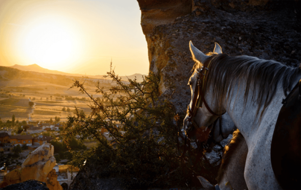 Cappadocia Horse Riding &Atv Quad Bike & Shooting With Camel - Frequently Asked Questions