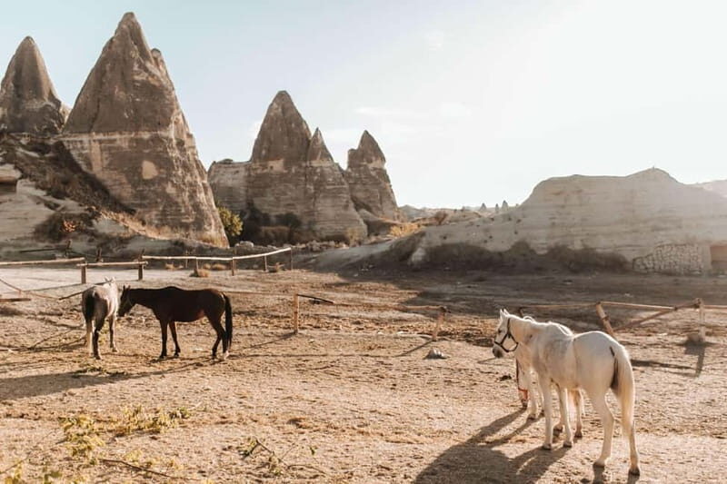 Cappadocia: Horse Riding Tour with Hotel Transfer - Good To Know