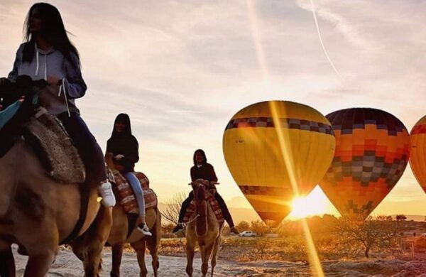 Cappadocia: Horse Safari With Hotel Transfer - Tips for a Great Experience
