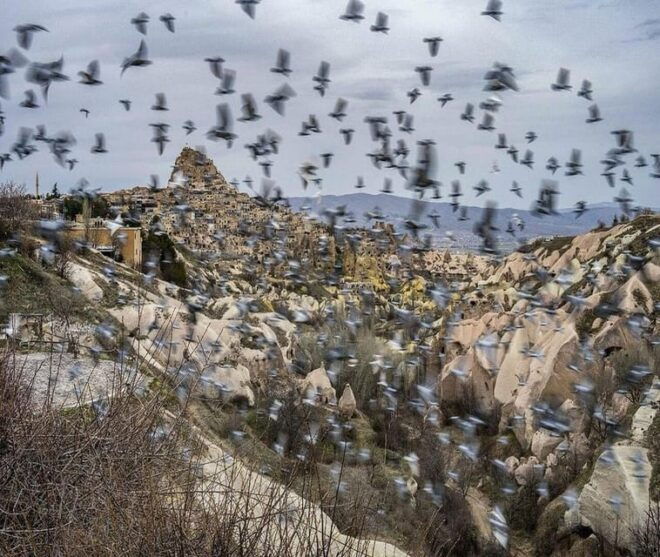 Cappadocia: Private Panoramic Tour ( No Tickets Needed ) - Logistics and Additional Information