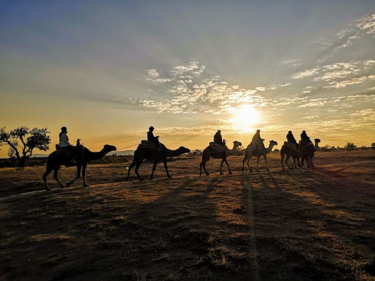 Cappadocia: Private Sunrise Camel Safari - Booking Information