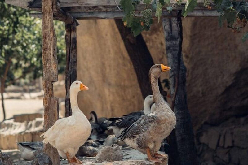 Cappadocia :Red Tour Entry Tickets and Lunch Included - Good To Know