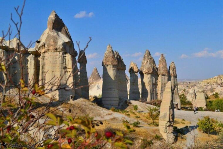 Cappadocia Red Tour with Goreme Open Air Museum and Pasabag - Who Would Love This Tour?
