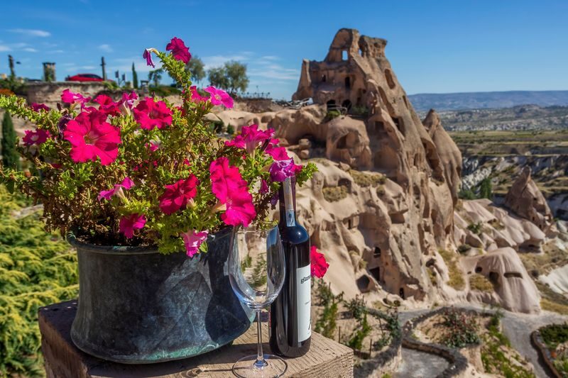 Cappadocia Vineyard and Wine Tasting with Fairy Chimneys Day Tour - What to know before you book