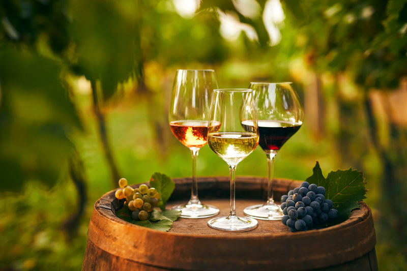 Cappadocia Wine Tasting Experience - Volcanic soil, high altitude and the story behind the glass