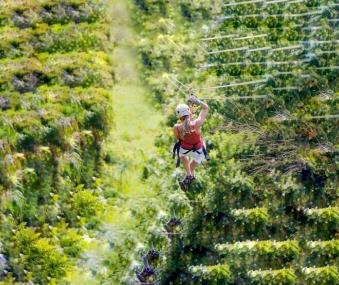 Cappadocia: Zipline, Jetboat, and Monster Safari Adventure - Thrilling Jetboat Ride