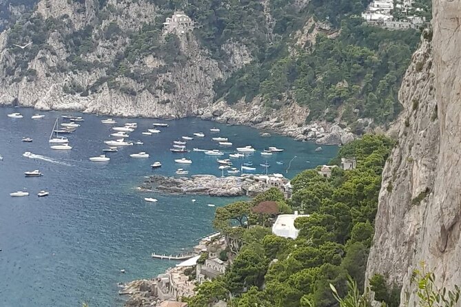 Capri Anacapri and Blue Grotto Day Tour From Naples Small Group - Flexible Options