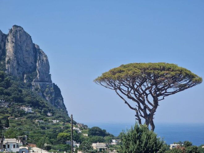 Capri, Anacapri, and Blue Grotto Full-Day Trip - Frequently Asked Questions