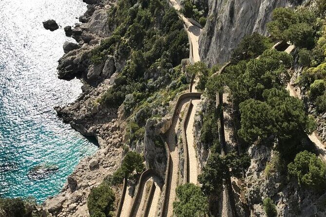 Capri, Anacapri & Blue Grotto from Capri Port Private Tour - Who Will Love This Tour?