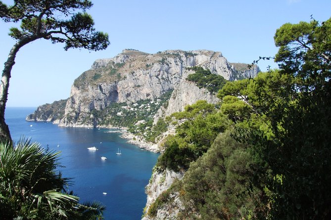 Capri and Anacapri Day Tour From Sorrento - Tour Itinerary Highlights