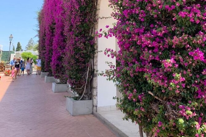 Capri and Blue Grotto Day Tour From Sorrento - Itinerary Highlights