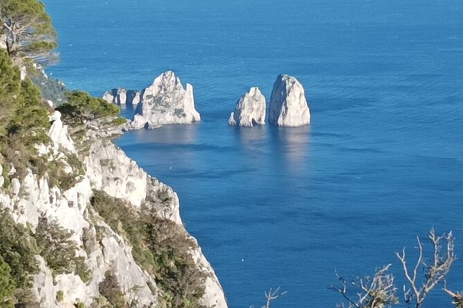 Capri and Blue Grotto Small Group Tour From Sorrento - Important Information