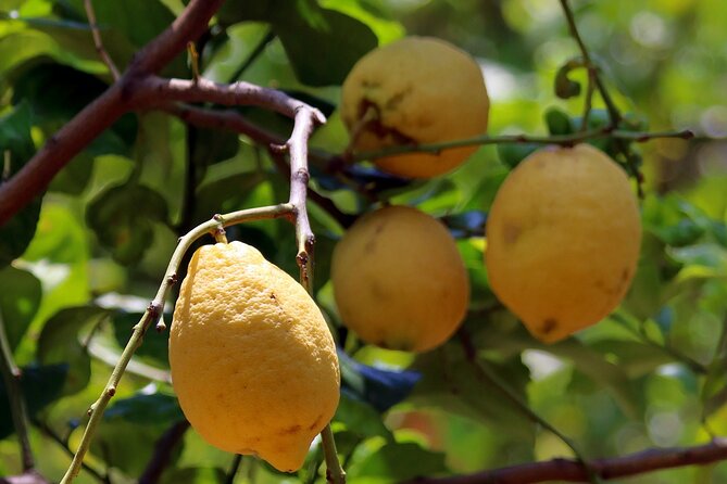 Capri and Blue Grotto, Sorrento and Pompeii Private Tour From Naples - Common Questions