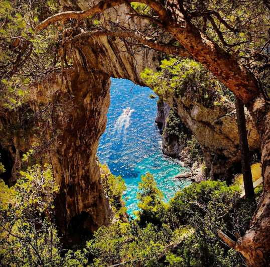 Capri and Positano in Style: Private Tour From Sorrento - Inclusions and Amenities
