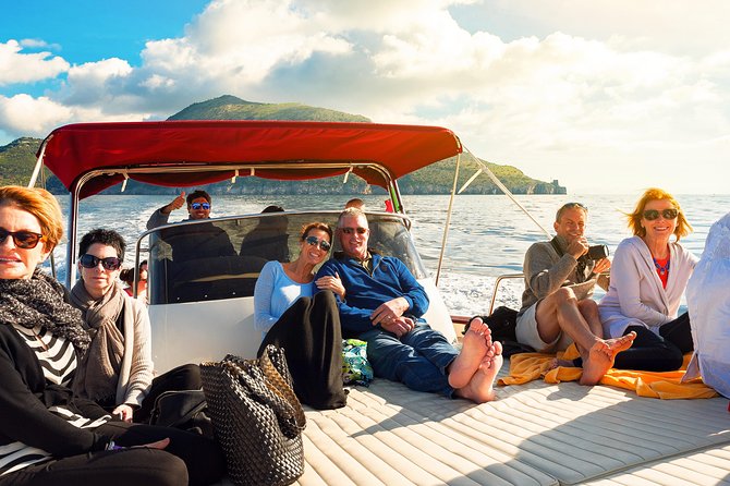 Capri Boat Tour Cruise From Sorrento - Common Questions