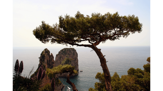 CAPRI: DAILY TRIP WITH FREE TIME IN THE ISLAND - Recommendations for Travelers