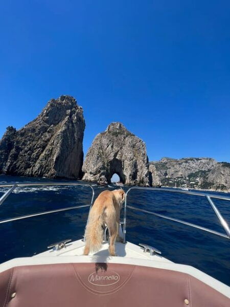 CAPRI: DAILY TRIP WITH FREE TIME IN THE ISLAND - Tips for a Great Experience