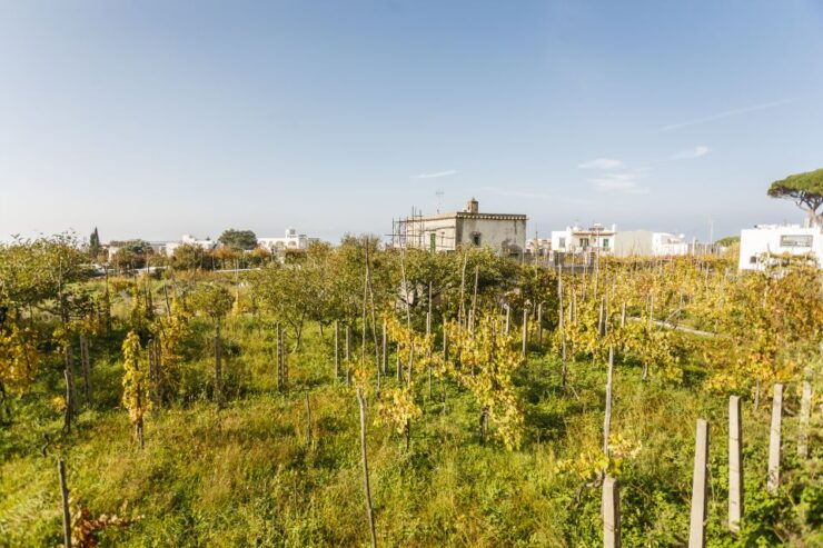 Capri Day Trip From Rome - Good To Know