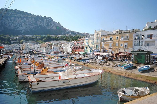 Capri Day Trip From Rome With Private Driver - Private Guide for Local Exploration