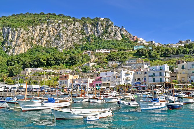 Capri Day Trip From Rome With Private Driver - Pricing and Terms