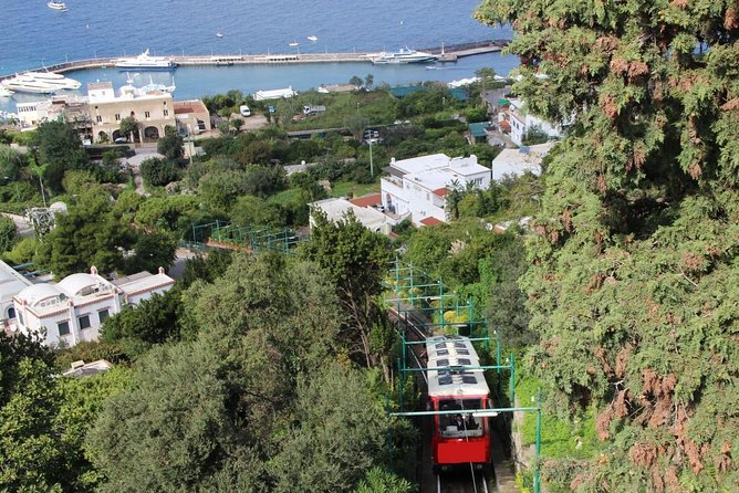 CAPRI - DIY Day Trip Package - BoatTour, BlueGrotto,Bus&Lunch - Flexibility and Inclusions