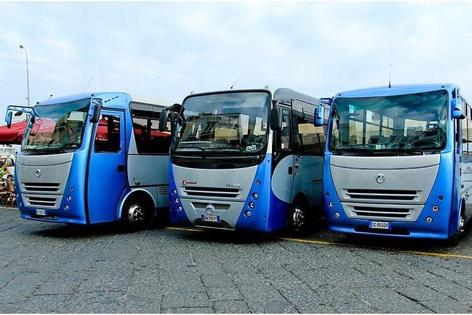 CAPRI - DIY Day Trip Package - BoatTour, BlueGrotto,Bus&Lunch - Additional Information