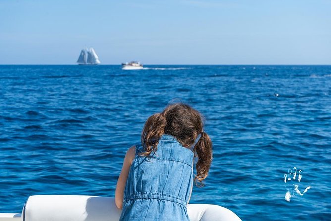 Capri Excursion Shared From Sorrento - Excursion Highlights