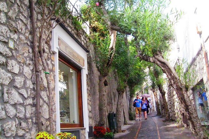 Capri Full Day Walking Tour (8 Hours) - Good To Know