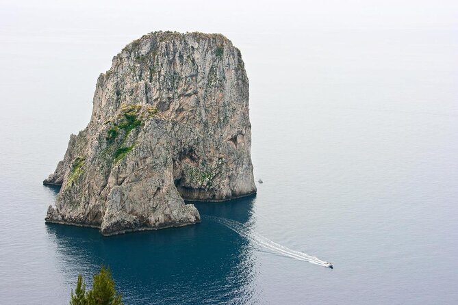 Capri Island , Blue Grotto and Positano Day Tour From Naples - Review Summary