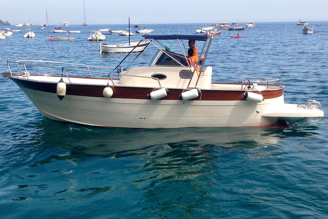 Capri Island Cruise. Full Day Group Tour Experience From Positano - Overview and Logistics