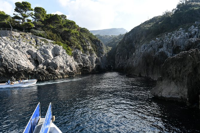 Capri One Day – Visit the Island by Sea and Land - Boat Transfer to Sorrento