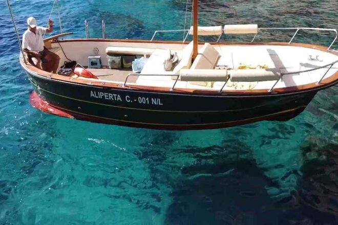 Capri Private Boat Tour - Booking Information and Flexibility