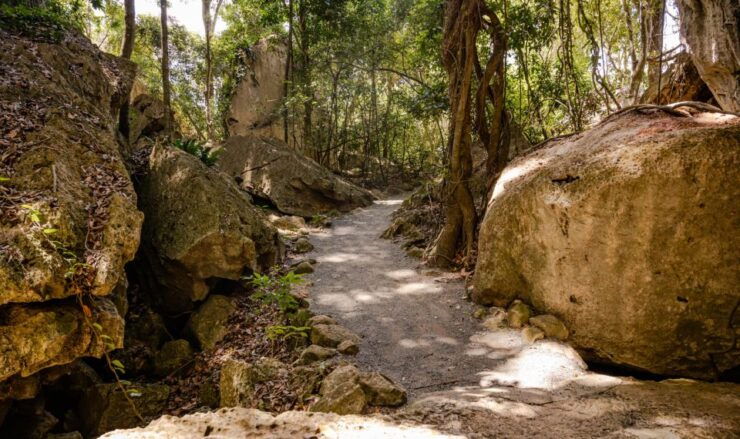 Capricorn Caves, Australia: 45-Minute Cathedral Cave Tour - Duration and Availability of the Tour