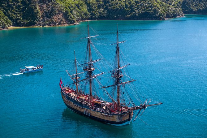 Captain Cook and Dolphin Cruise - Half-Day Nature Cruise With Marine Biologists