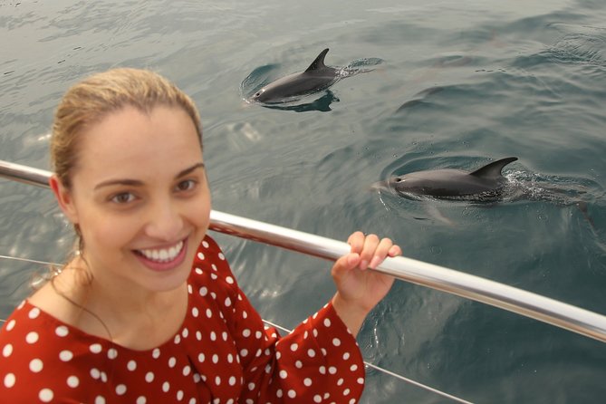 Captain Cook and Dolphin Cruise - Supporting Conservation Efforts