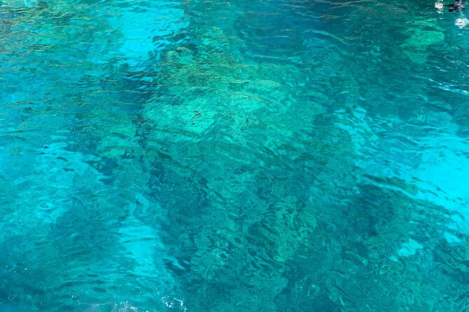 Captain Cook/ Kealakekua Bay Reef Snorkeling - Meeting and Pickup Instructions