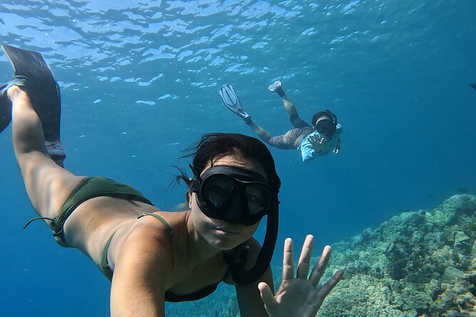 Captain Cook/ Kealakekua Bay Reef Snorkeling - The Sum Up