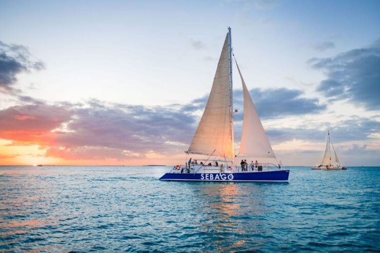 Captains Choice: Dolphin Watch Sunset Sail - Experience Highlights
