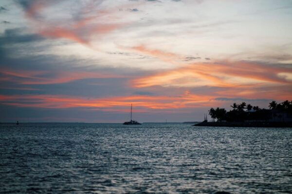 Captains Choice: Dolphin Watch Sunset Sail - Booking and Cancellation