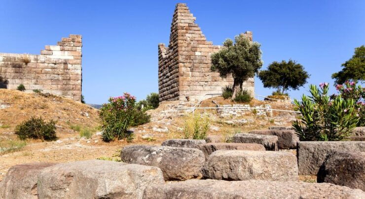 Captivating Bodrum City Tour: History & Culture Unveiled - Key Points