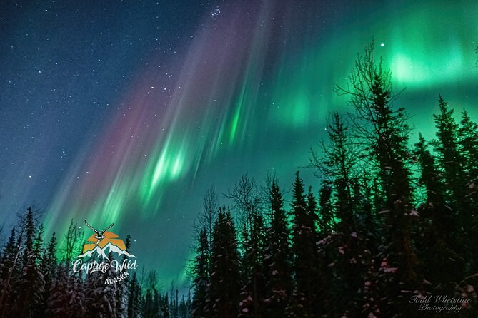 Capturing the Ethereal Beauty: Northern Lights Photo Workshop - Workshop Overview