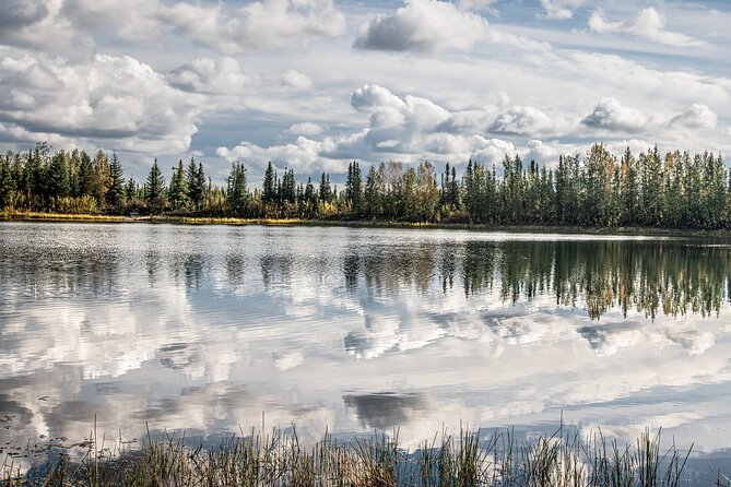 Capturing the Magnificence: Alaskan Daybreak Photo Tour" - Tour Inclusions