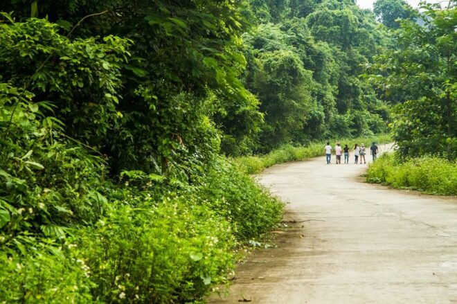 Car Hire & Driver: Cuc Phuong National Park From Ha Noi - Driver Communication