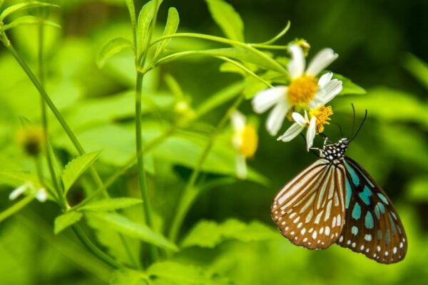 Car Hire & Driver: Cuc Phuong National Park From Ha Noi - Contact Information