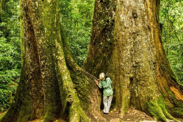 Car Hire & Driver: Cuc Phuong National Park From Ha Noi - Frequently Asked Questions