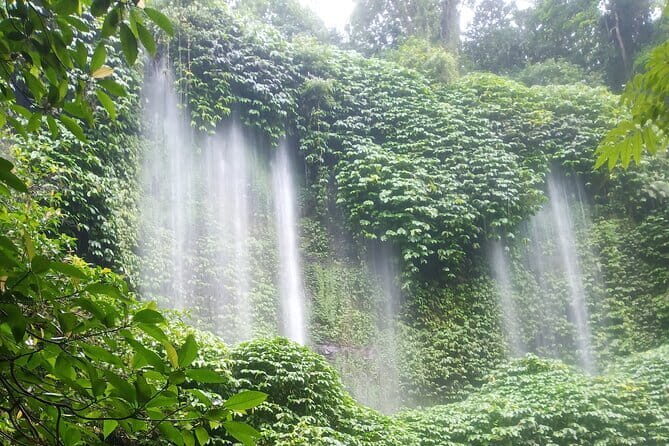 Car Hire in Lombok (Include Driver, Car, & Fuel) - Transportation and Logistics