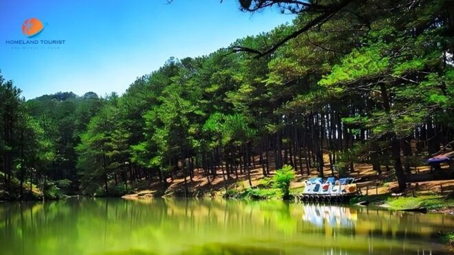 Car Rental Service in Dalat ( Private With Driver ) - Experience Highlights