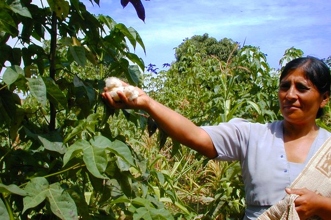CARAL - Ancient Pyramids Tour From Lima- Private - Pricing and Copyright