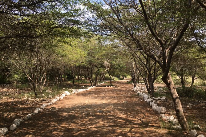 Caral: The First Civilization In The Americas Private Full-Day Tour - Hotel Pickup Availability