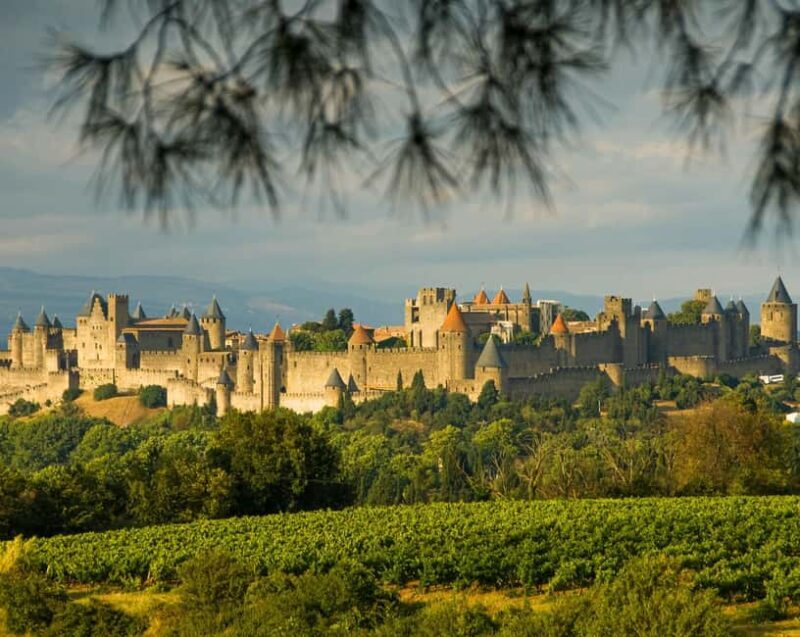 Carcassonne Small Group Half-day tour from Toulouse - Good To Know